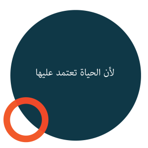 لأن الحياة تعتمد عليها